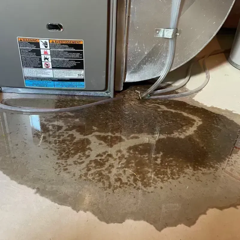 Appliance Leak Cleanup in Greybull, WY